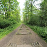 Forest Of Dean Iron Road
