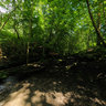 Forest Of Dean Fire And Water Boats