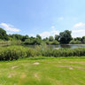 The Weir Water Meadow