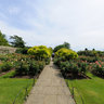 Chartwell Rose Garden