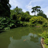 Chartwell Pond