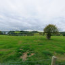 Trelissick Gardens, Parkland View, Cornwall, England