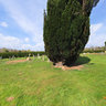St Margarets Of Antioch 2 Isfield East Sussex England Uk