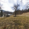 Biala Woda Nature Reserve