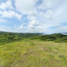 A Guanacaste Lot