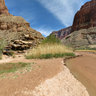 Grand Canyon GigaView #8 - Little Colorado Confluence