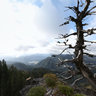 Fern Ridge GigaView - Pacific Crest Trail