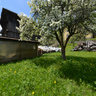Val Di Sole In Primavera
