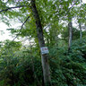 Mt.Yotei - 2合目