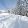 Niseko Hirafu Cliffside