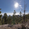 Gala Peak in the Teno Mountains on Tenerife