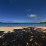 Lemon Bay