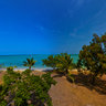 Ouano Surf Camp Garden