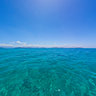 Chiling on the Reef