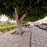 Next to the majestic Ribat situated amazing alley with benches.