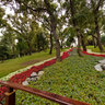 Emirgan Park II