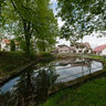 Pond in linden grove in Matějov