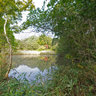 豊田市自然観察の森 The Woods of Toyota-city natural observation
