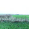 Ölpumpe Pferdekopfpumpe bei Varel / Dangast