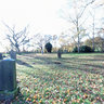 Friedhof Varel
