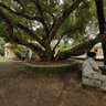 Kala Bhavan,Santiniketan