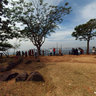 At the top of the White Cliff, Biligiri Ranga Hills