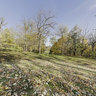 Johnson Mound Forest Preserve