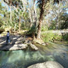 Kelly Park (Rock Springs), Apopka, Florida, USA
