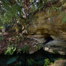 Kelly Park (Rock Springs), Apopka, Florida, USA