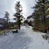 Lower West Rim Trail, Zion National Park, Utah, USA