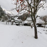 HidanoSato of winter