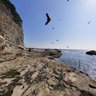 enoshima