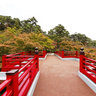 Yahiko Park Maple Valley