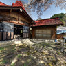 SUWA JINJA shrine