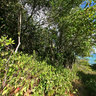 Mayreau Island - The Grenadines (Caribbean)