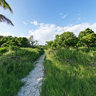 Tobago Cays - The Grenadines (Carribean)