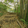 Lower fall - Dark View Falls‎ (St. Vincent and the Grenadines)