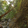 Dark View Falls‎ (St. Vincent and the Grenadines)