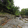 Lata Iskandar Waterfall in Cameron Highland