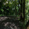 Clyne Valley Country Park Lake