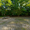 Picnic area in Bayhurst Wood