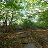 Hillingdon Trail in the Bayhurst Wood
