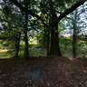 The swing in Bayhurst Wood