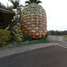 The Big Pineapple: front