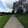 The University of Queensland: lake