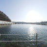 Sancheoneo-Ice-Festival