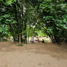 Crocodile River Cottages at Meninting River