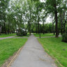 Dudova Suma, Subotica