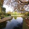 Stadtpark