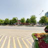 KINTEX Street Flowers